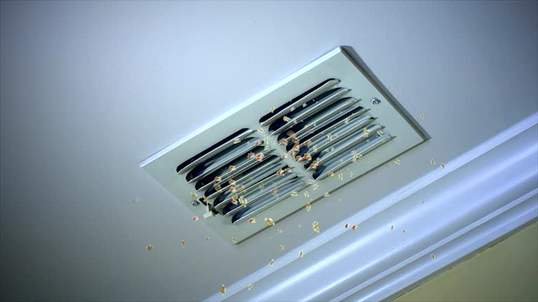 Best Ventilation Cleaning Services  in Malone, FL